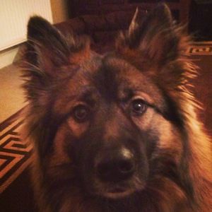 Meet your Posher, Jack